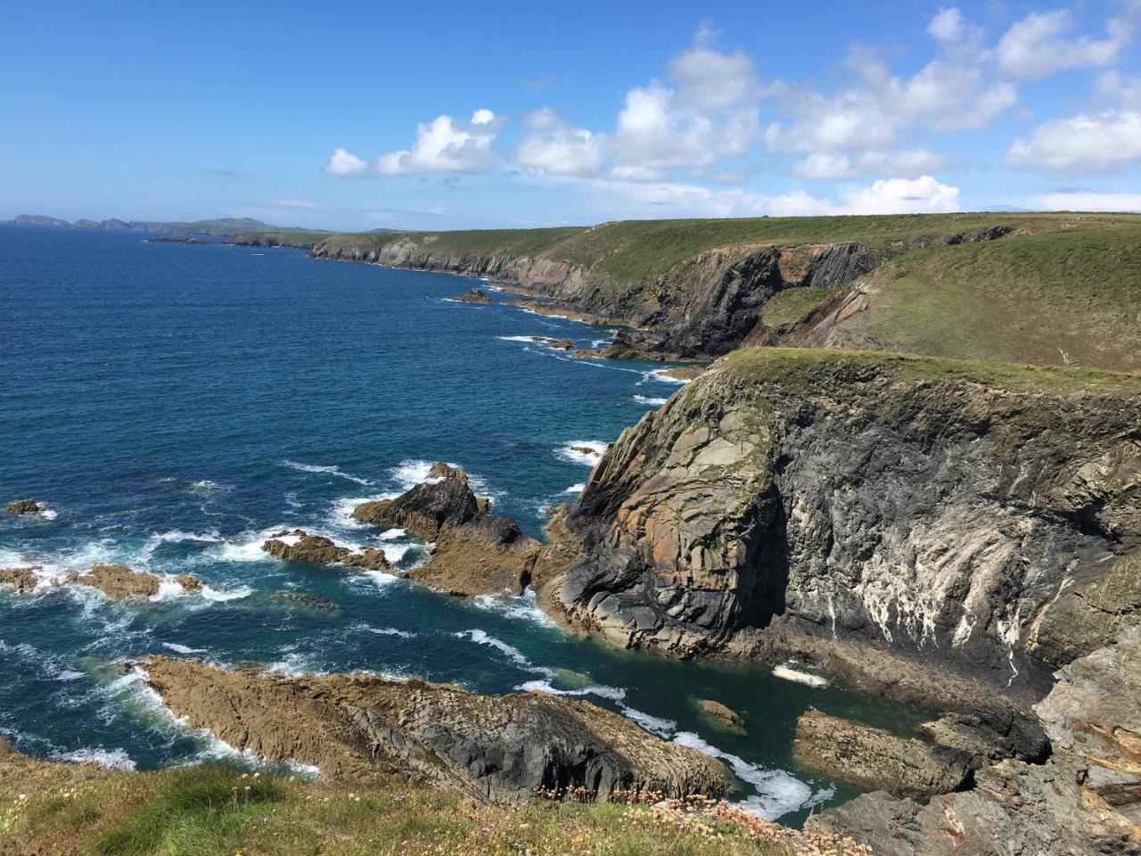 The Cambrian Inn Solva Eksteriør bilde